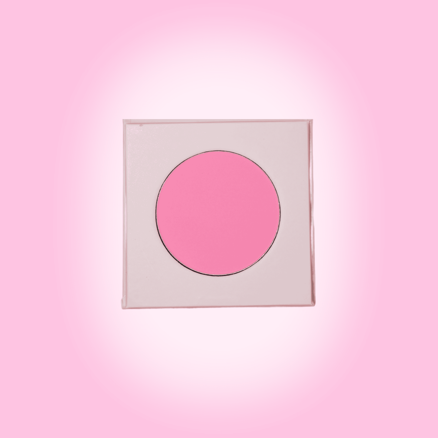 Not So Perfect Hot Girl Blusher