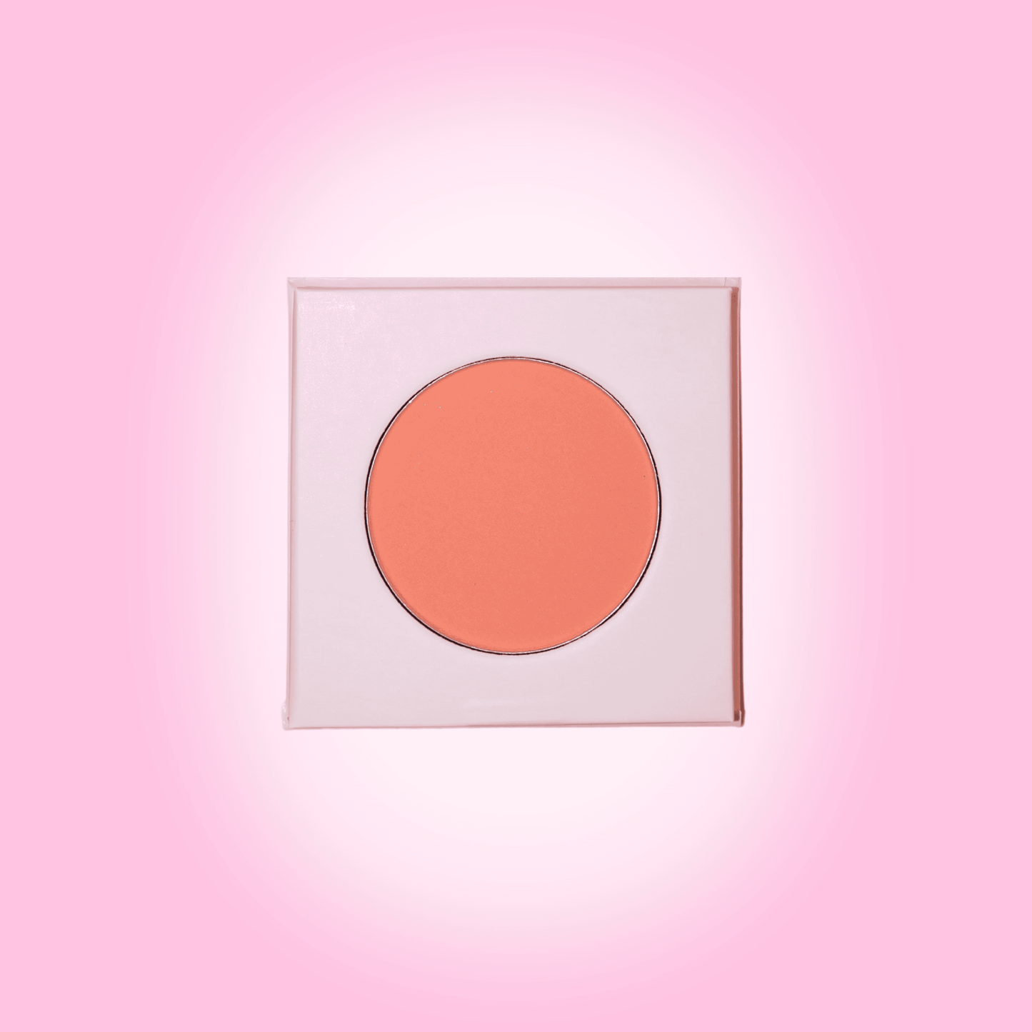 Not So Perfect Hot Girl Blusher