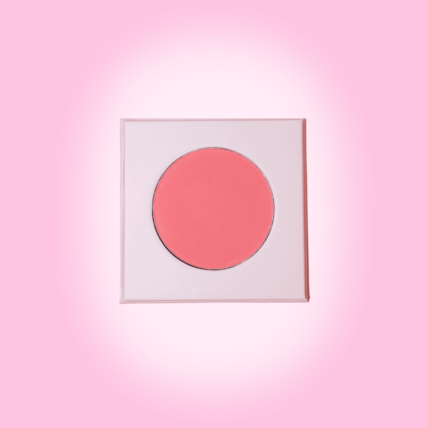 Not So Perfect Hot Girl Blusher