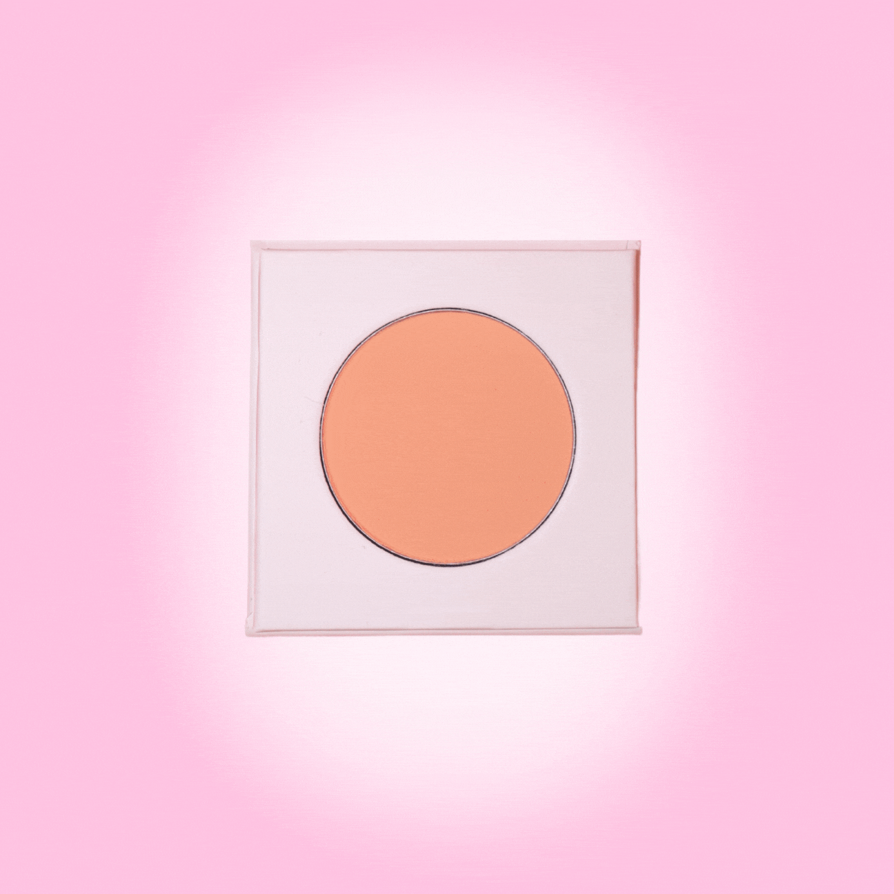 Not So Perfect Hot Girl Blusher