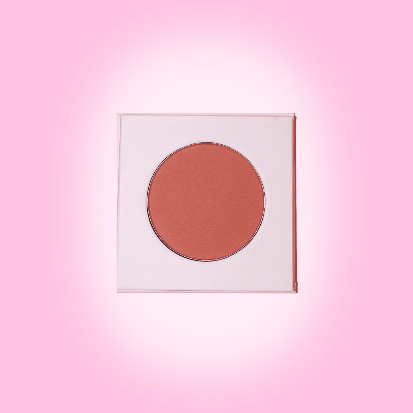 Not So Perfect Hot Girl Blusher